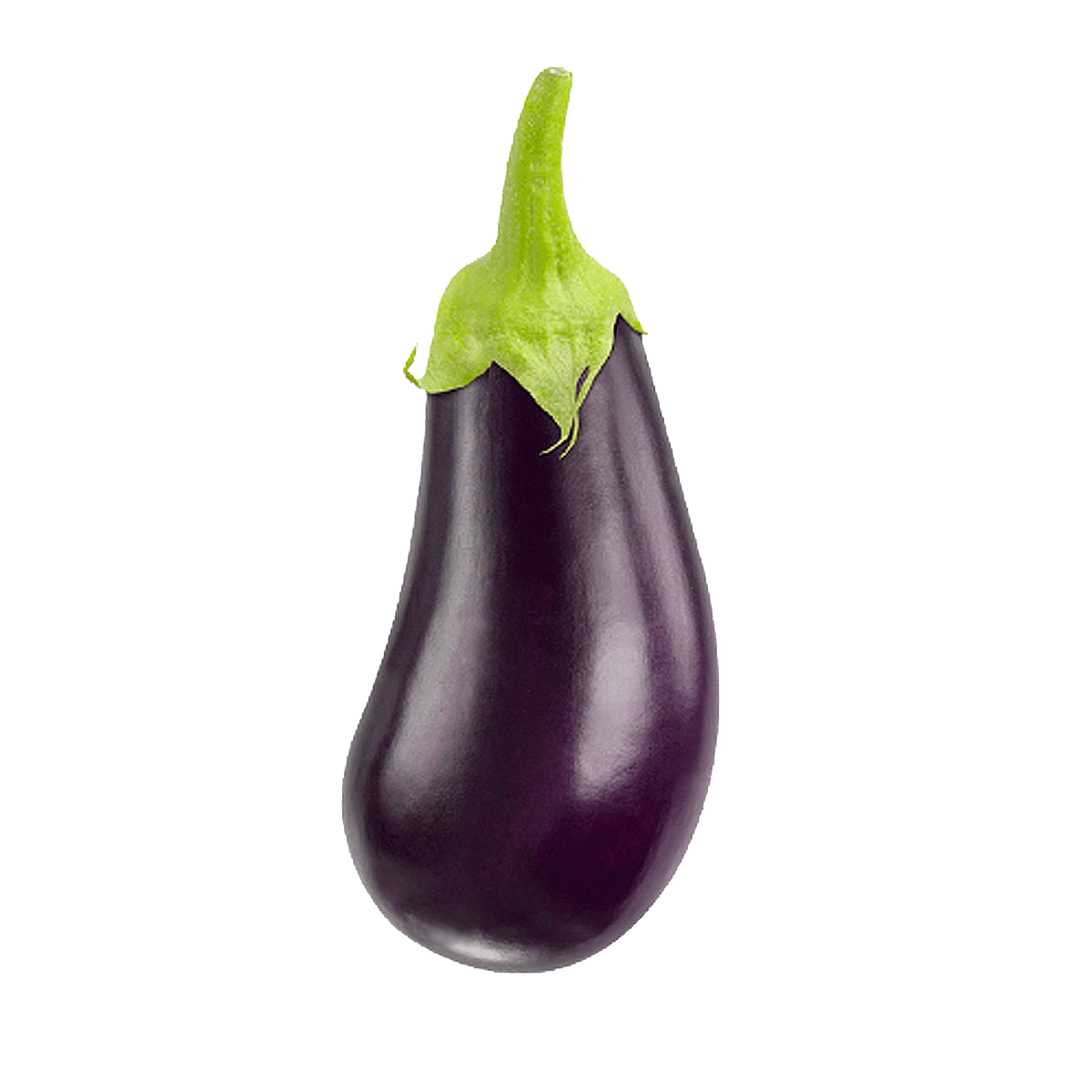 Eggplant