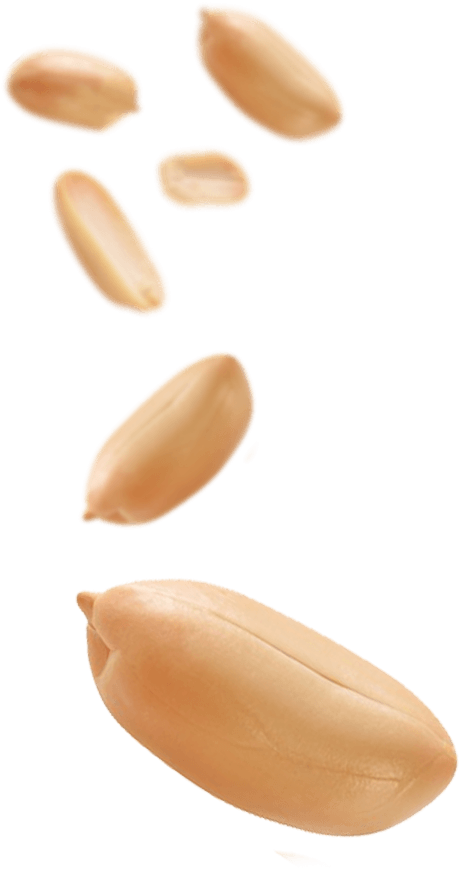 floating_image_13 https://www.ahmedsmeatmore.co.uk/wp-content/uploads/2021/03/floating_image_13.png