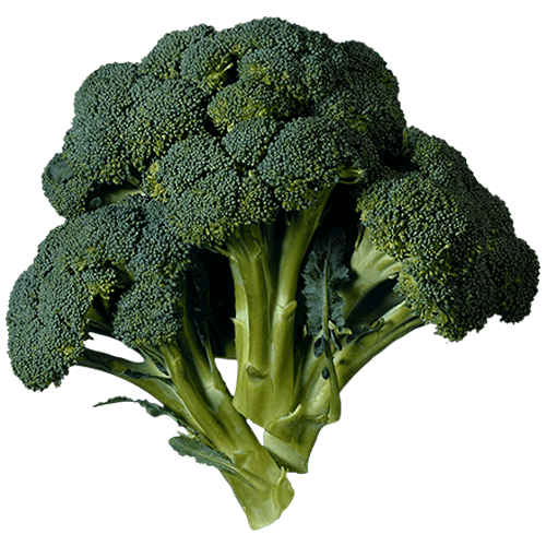 Broccoli