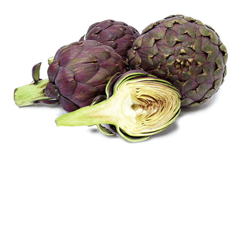 Artichoke