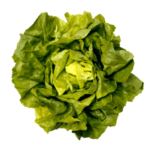 product_11 https://www.ahmedsmeatmore.co.uk/wp-content/uploads/2021/03/product_11-300x300.png