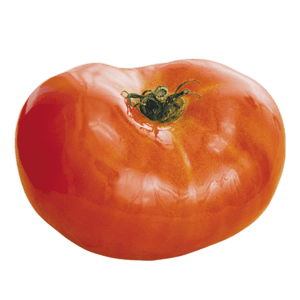 product_16 https://www.ahmedsmeatmore.co.uk/wp-content/uploads/2021/03/product_16-300x300.png