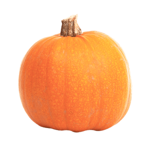 product_17 https://www.ahmedsmeatmore.co.uk/wp-content/uploads/2021/03/product_17-300x300.png
