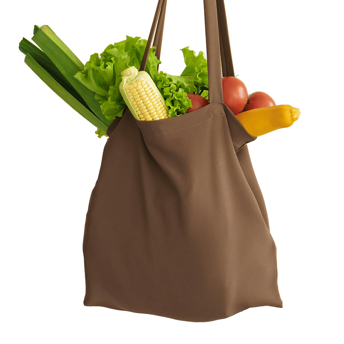 Large Family Bag