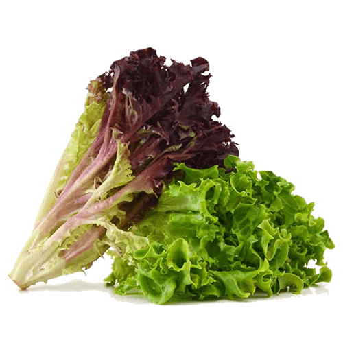 Mixed Green and Red Veggie